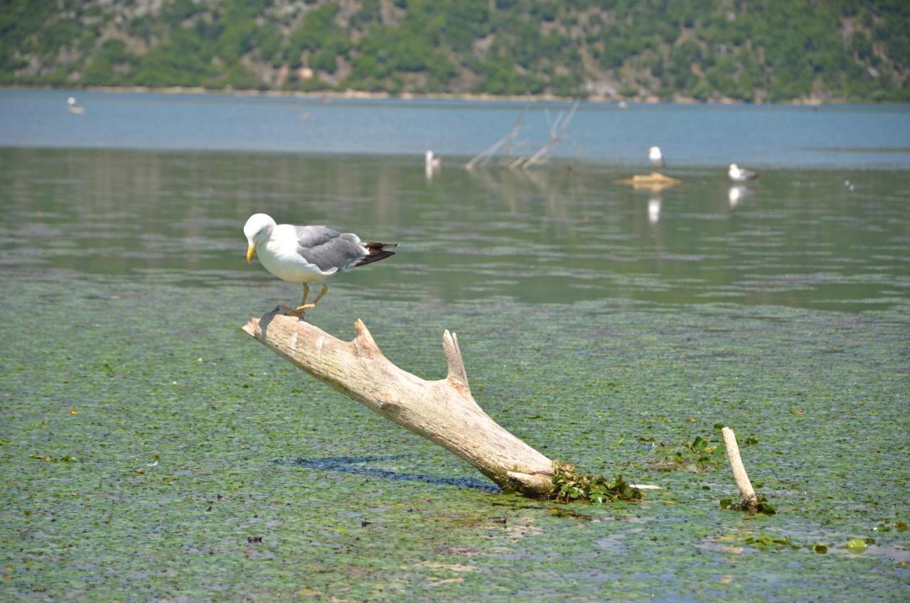Hotel Pelikan Virpazar Εξωτερικό φωτογραφία